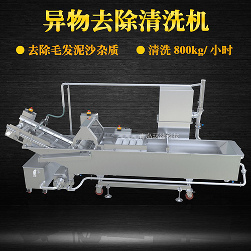 商用專業(yè)果蔬清洗機(jī)，氣泡清洗，清洗800kg小時(shí)