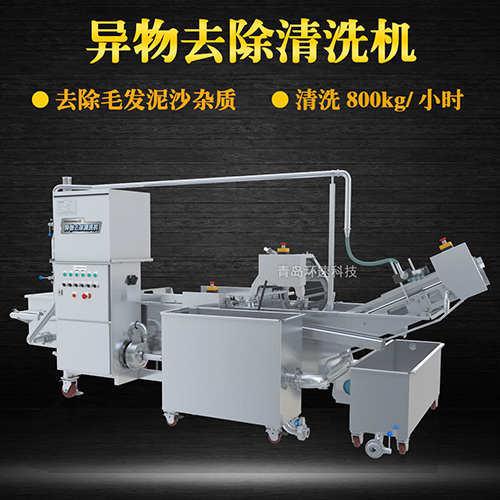 商用專業(yè)果蔬清洗機(jī)，氣泡清洗，清洗800kg小時(shí)