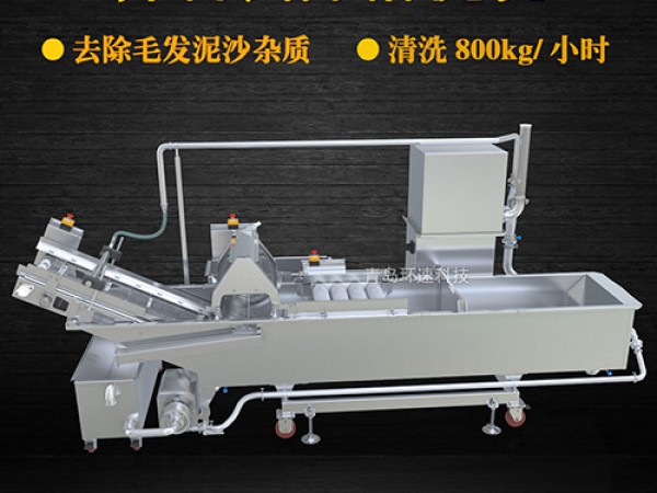 蔬菜清洗機(jī)，氣泡清洗，清洗800kg/小時(shí)